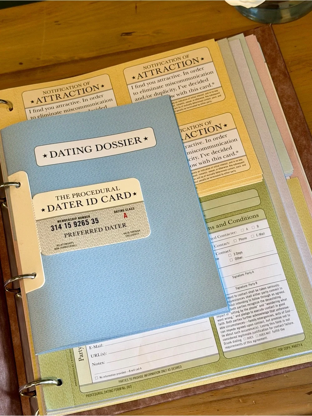 Procedural Dating Kit | Funny Gag Gift | Dumped from Love Island | Divorcé